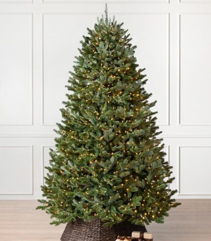 Árbol de Navidad Fraser Fir